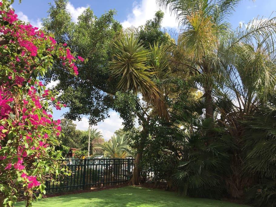 Pool & Garden Aparthotel Rehovot Luaran gambar